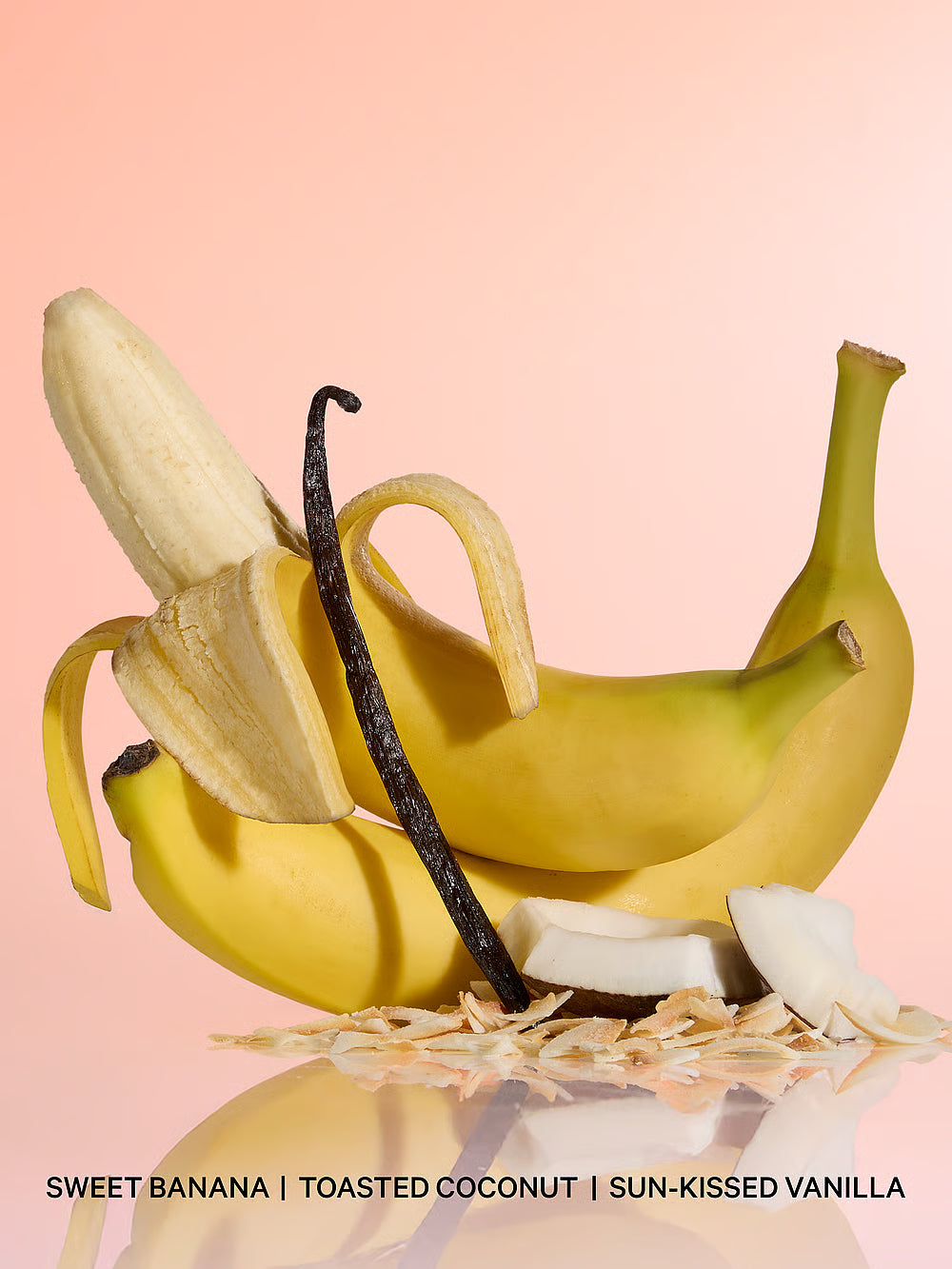 Vanilla & Dreamy Sun-Splashed