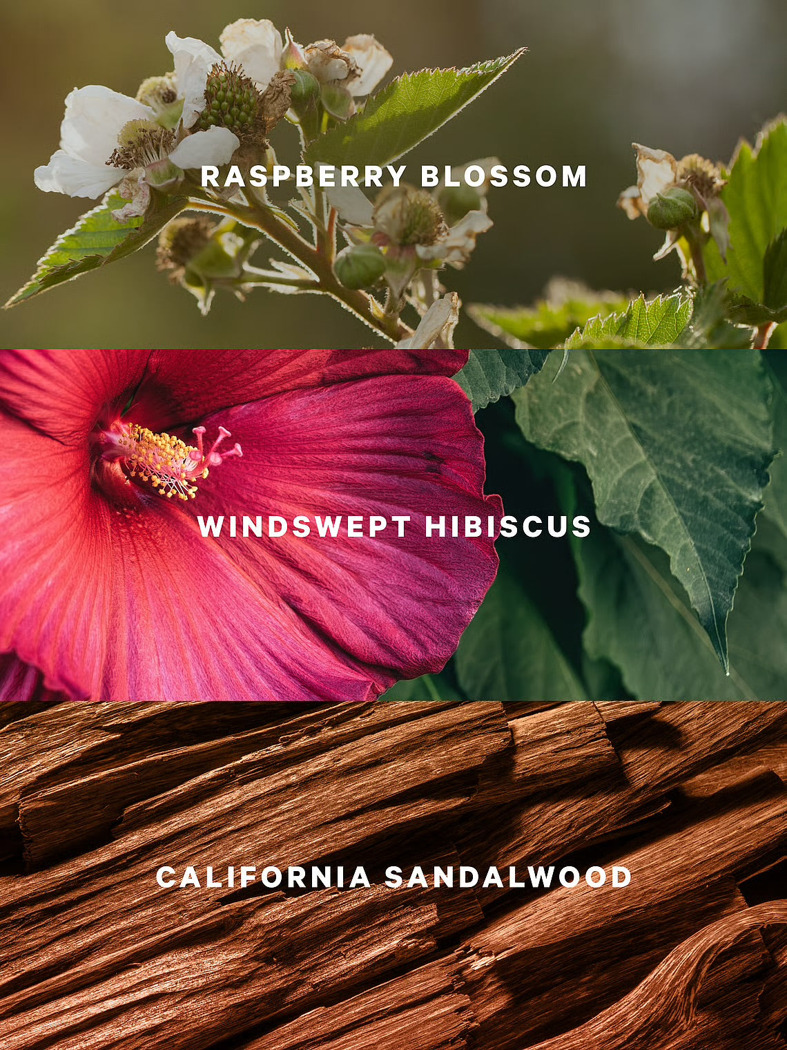 Victoria’s Secret Serene Blooms ķermeņa sprejs