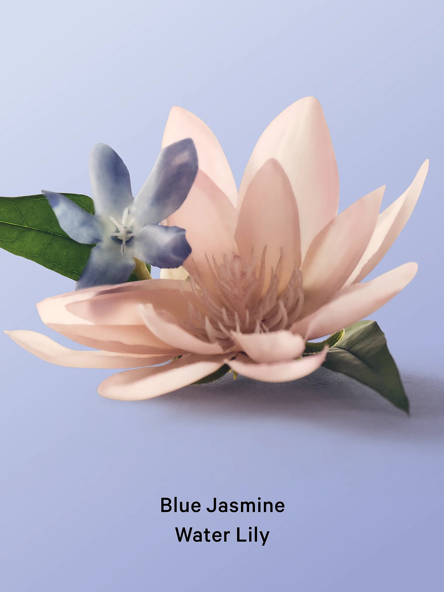 Blue Jasmine Water Lilly ķermeņa & matu sprejs