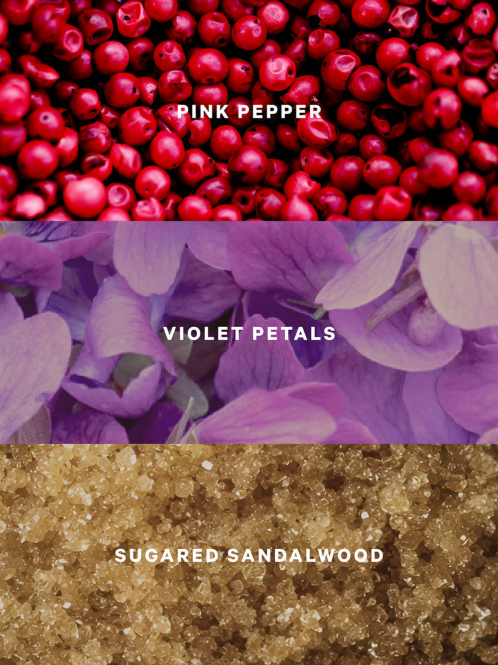 Sweet Sugared Violet