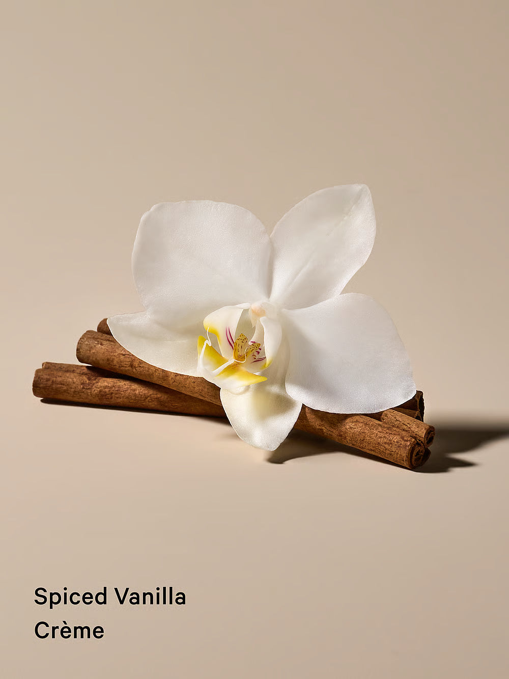 Spiced Vanilla Crème matu & ķermeņa sprejs