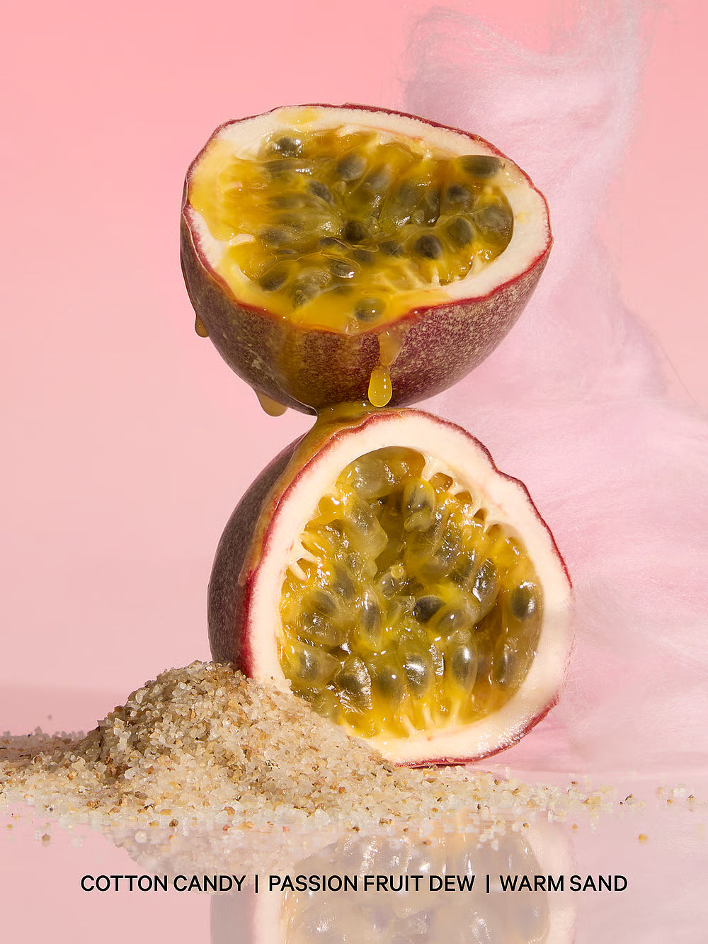 Warm & Cozy Sun-Splashed