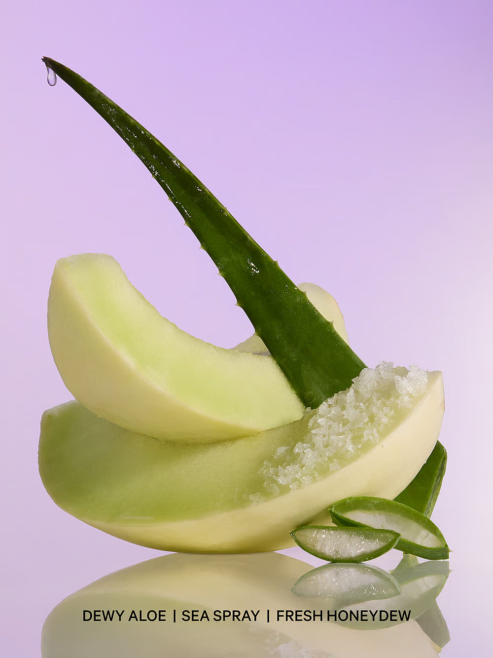 Fresh & Clean Sun-Splashed