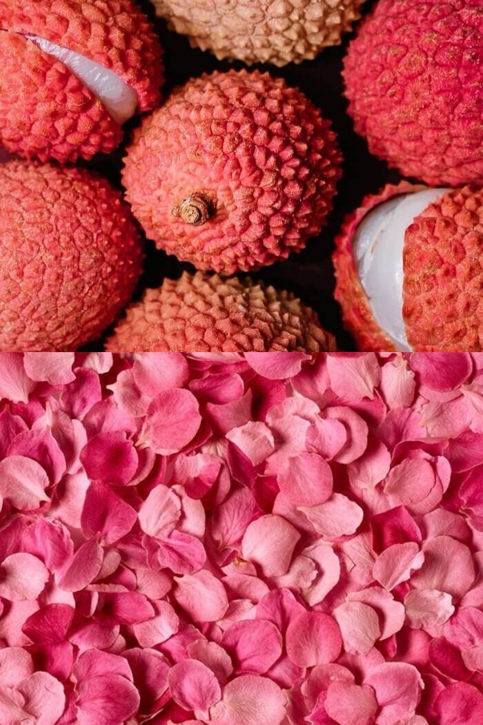 Lovely Berry Rose ķermeņa sprejs - Victoria’s Secret