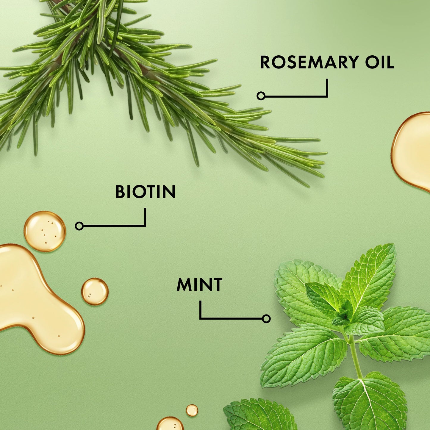 Rosemary Mint Light Scalp & Hair Strengthening Oil