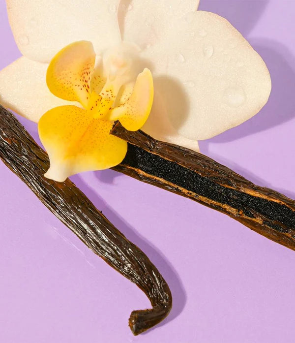 Vanilla Bean lūpu balzams