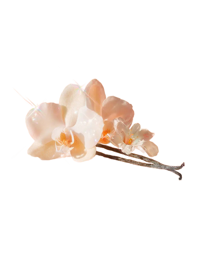 Bare Vanilla Joy Shimmer - Victoria’s Secret