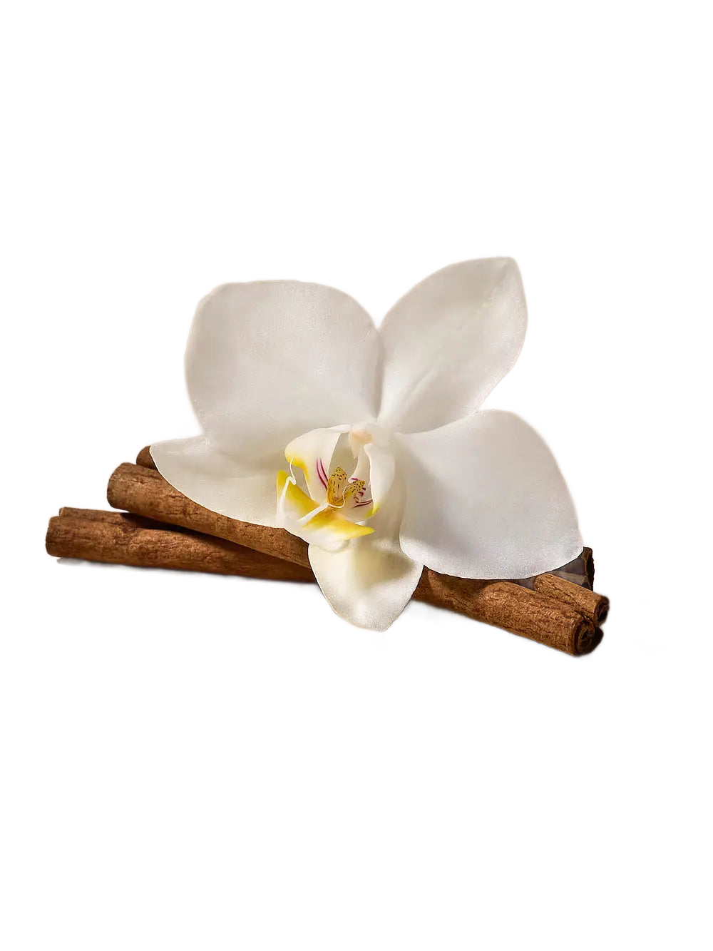 Spiced Vanilla Crème losjons - Victoria’s Secret